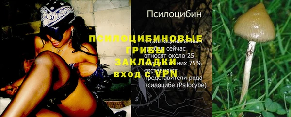 скорость mdpv Кукмор