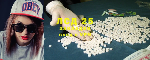 спайс Кулебаки