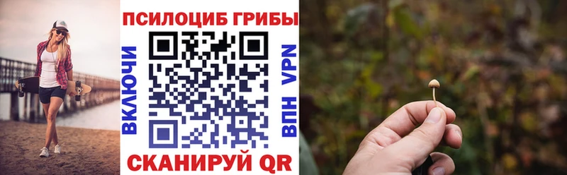 Купить закладки  Нижняя Салда  Галлюциногенные грибы ЛСД 